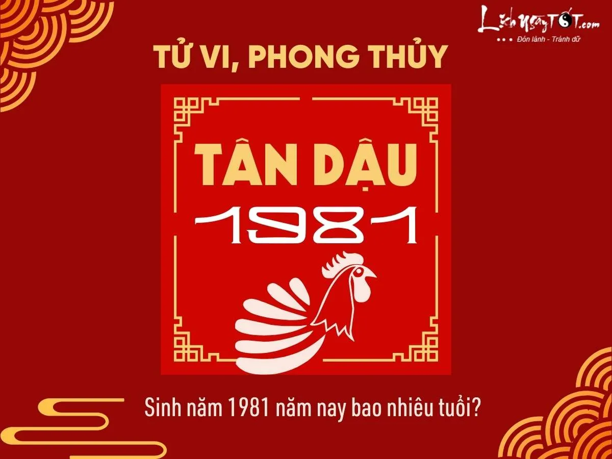 Sinh năm 1981 bao nhiêu tuổi?