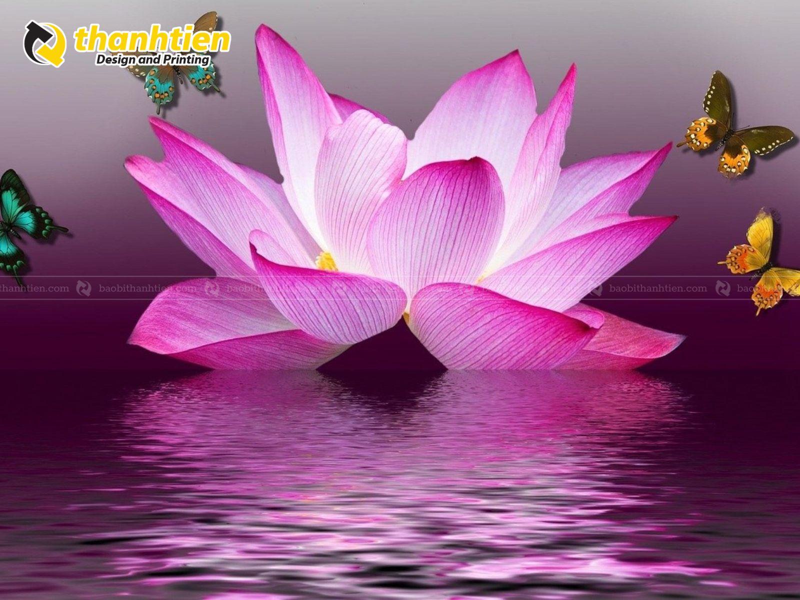 Background hoa sen vector đẹp