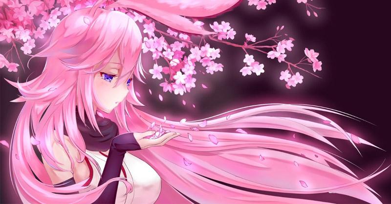 Bộ sưu tập hình nền cute màu hồng cho điện thoại và máy tính