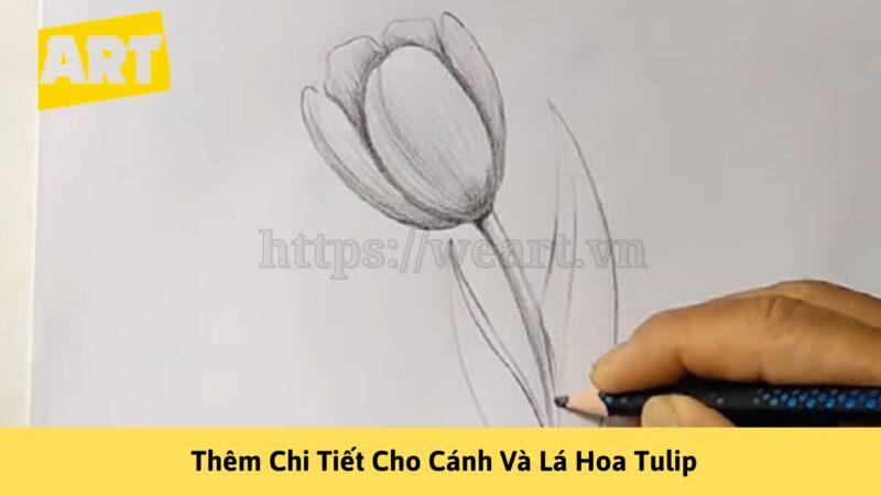 Khám Phá Cách Vẽ Hoa Tulip Đẹp Như Nghệ Sĩ